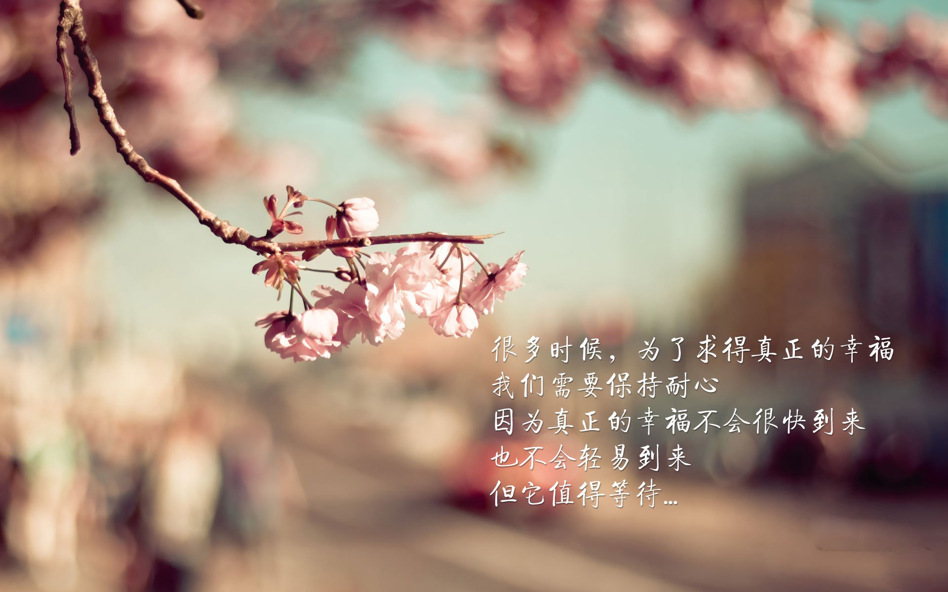 篮球运动员营养配餐科学指导研究，篮球运动员膳食营养的要求