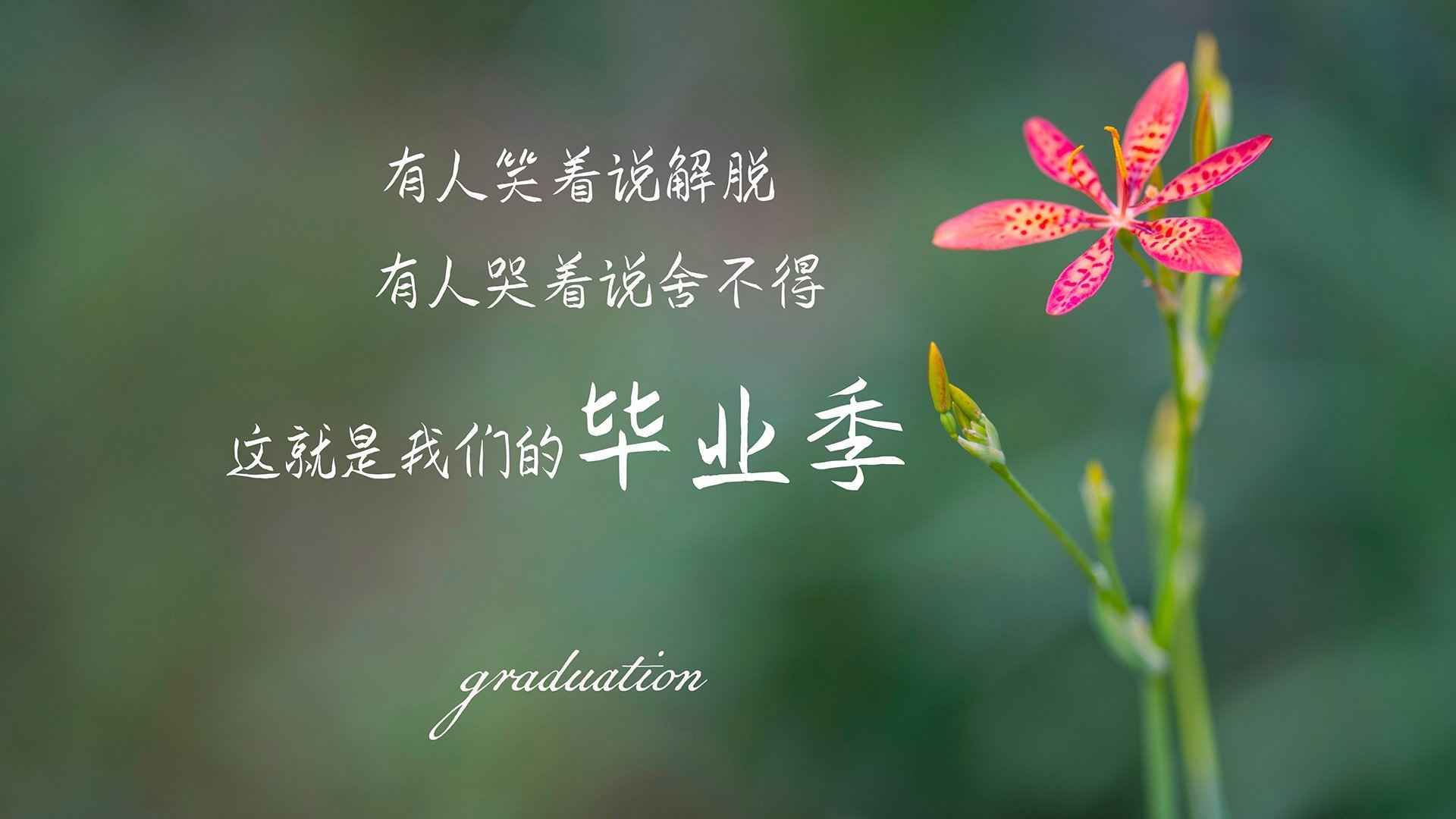 东亚杯中国女足爆冷 球迷呼吁战术革新，东亚杯女足比赛结果