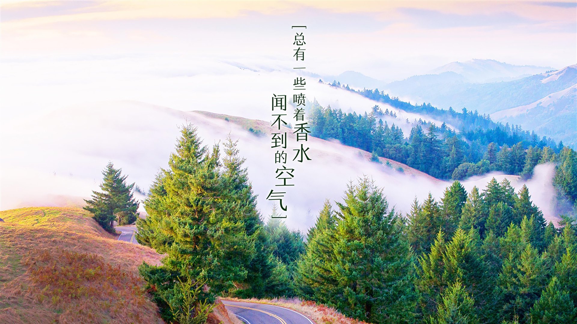 九游网页版官网-新赛制推出后，国际乒乓比赛竞争日益激烈，当今乒乓球国际团体比赛赛制